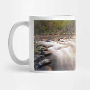 Oak Creek At Grasshopper Point Mug